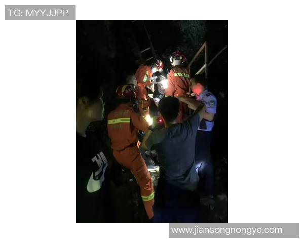 南京乒乓球队在杯赛中的耐力表现分析与精彩瞬间回顾 南京乒乓球队在杯赛中的耐力表现分析与精彩瞬间回顾