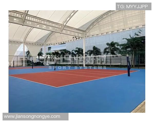 广州排球队心理素质分析与数据挖掘的深度探讨与启示