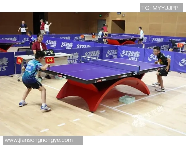 重庆乒乓球队进攻策略深度解析与技术揭秘