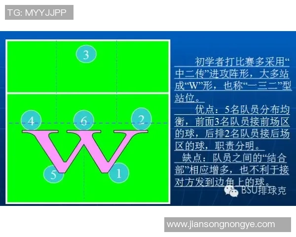 重庆排球队防守战术深度分析与实战应用探讨