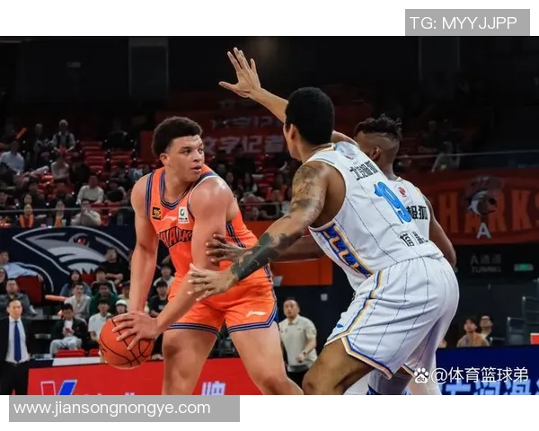 上海篮球队实力解析聚焦球队发展与未来挑战