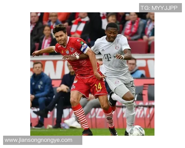 足球明星赫克托的传奇之路与影响力探讨