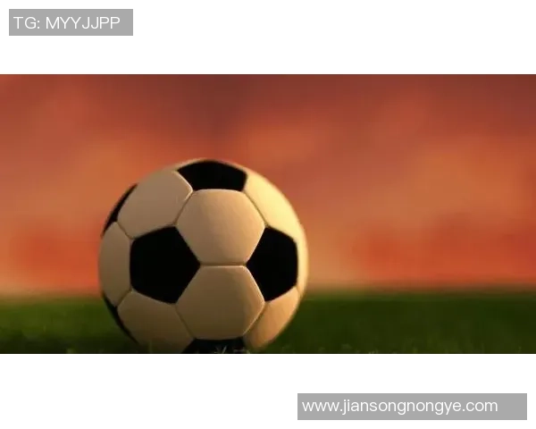 西安足球队在钻石联赛中的战术分析与表现评估