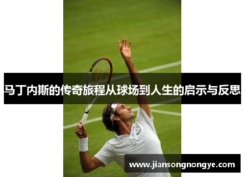 马丁内斯的传奇旅程从球场到人生的启示与反思