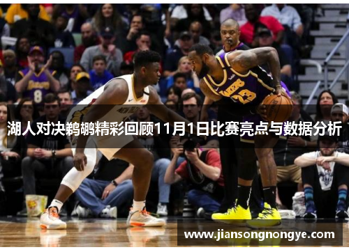 湖人对决鹈鹕精彩回顾11月1日比赛亮点与数据分析